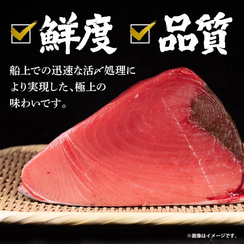 本マグロ切り落し 400g 1個80g 小分け 赤身 トロ 中トロ ヨネタ水産 冷凍 津軽海峡産 本まぐろ 鮪 船上活〆 新鮮 刺身 鉄火丼 海鮮丼 手巻き寿司 お手軽 簡単調理 産地直送 お取り寄せ グルメ 北海道 松前町 送料無料 MATK037