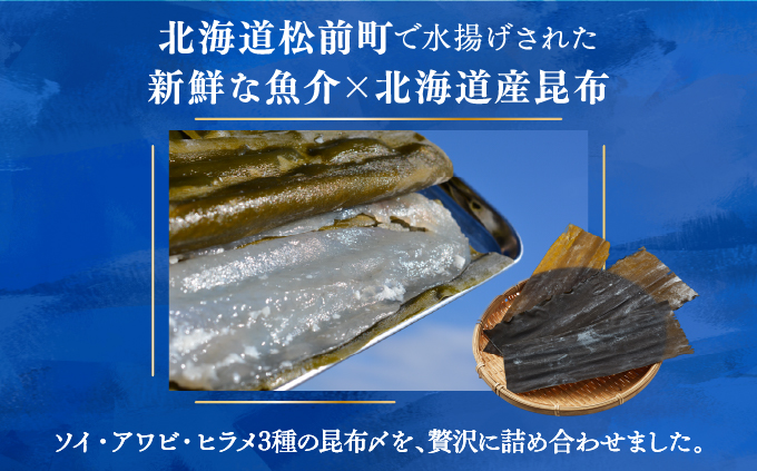 松前産 ソイ・アワビ・ヒラメ 昆布〆 セット 北海道 松前町 ふるさと納税