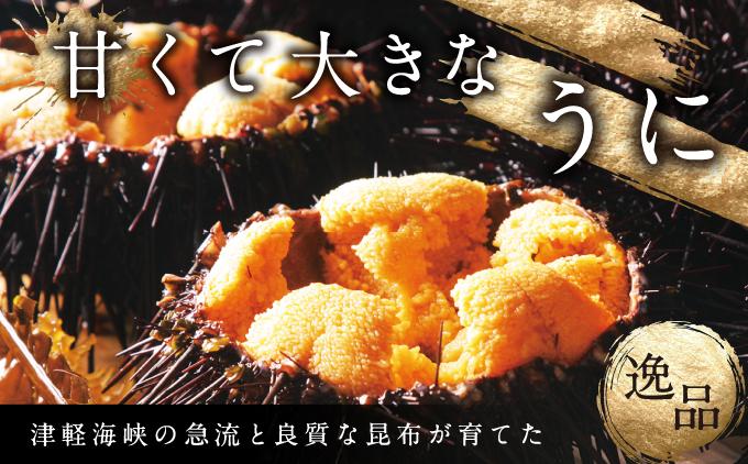 【期間限定】塩水キタムラサキウニ 100g×1パック 「2026年6月以降順次発送」 MATB009