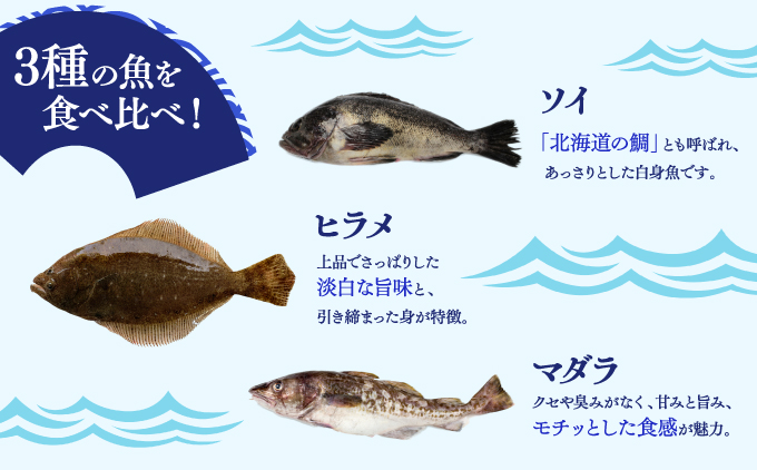 松前産 ソイ・ヒラメ・マダラ 昆布〆セット 100g×3 北海道 松前町