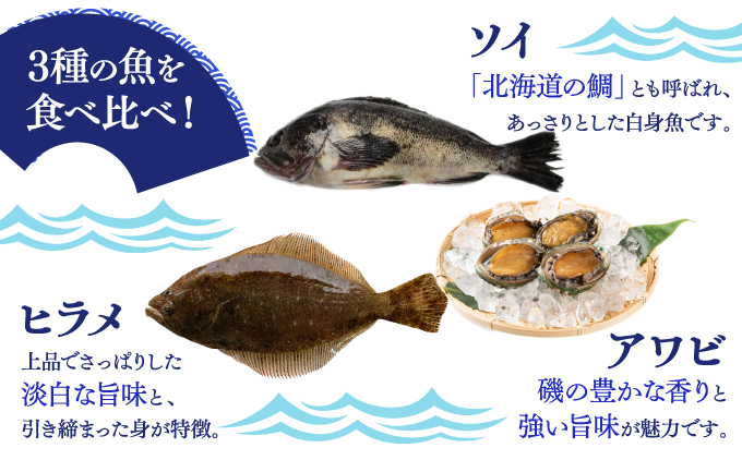 松前産 ソイ・アワビ・ヒラメ 昆布〆 セット 北海道 松前町 ふるさと納税