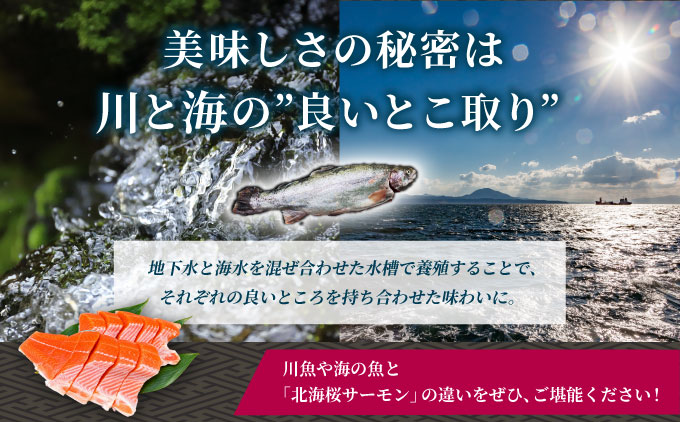 「陸上養殖」 北海桜サーモン 切り身 800g 北海道 松前町 ふるさと納税