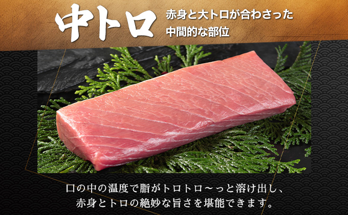 天然本マグロ中トロ＆赤身二種盛りMATB006