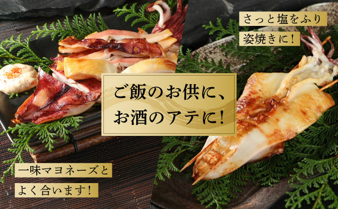 やりいか一夜干し　2枚MATK030