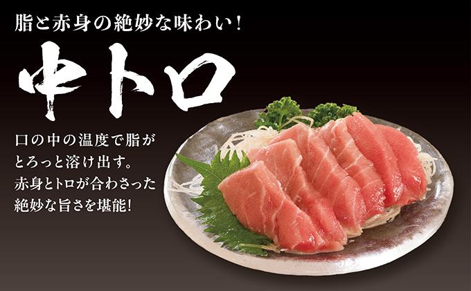 超低温冷凍 松前町産本まぐろ中トロ　280ｇMATK026