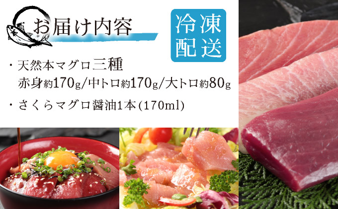 天然本マグロ三種盛りMATB002