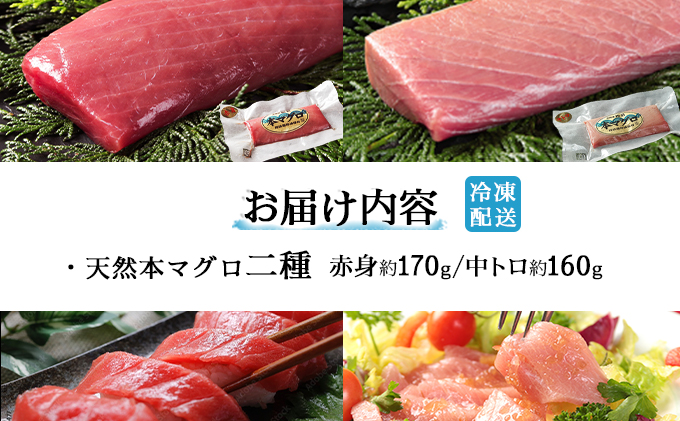 天然本マグロ中トロ＆赤身二種盛りMATB006