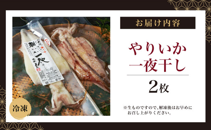 やりいか一夜干し　2枚MATK030