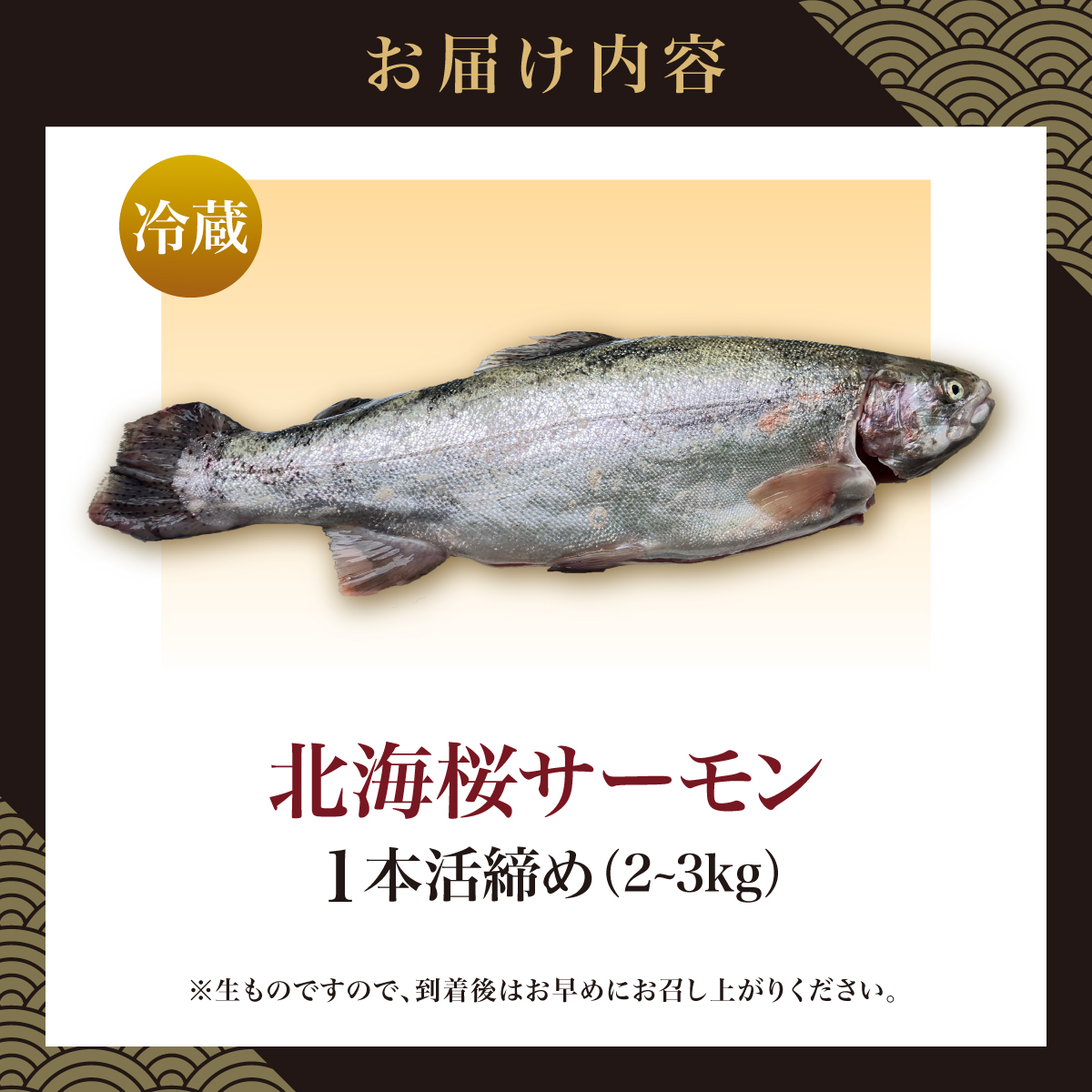 北海桜サーモン 1本活締め 2~3kg 新鮮 刺身 冷蔵 陸上養殖 生食可 桜色 トラウト サーモン 鮭 生鮭 サケ さけ 一本 1匹 一匹 姿 まるごと 国産 北海道産 道産 松前産 産地直送 お取り寄せ 海鮮 鮮魚 魚介 活〆 グルメ 北海道 松前町 送料無料 MATP001