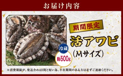 活アワビ約500g MサイズMATB008