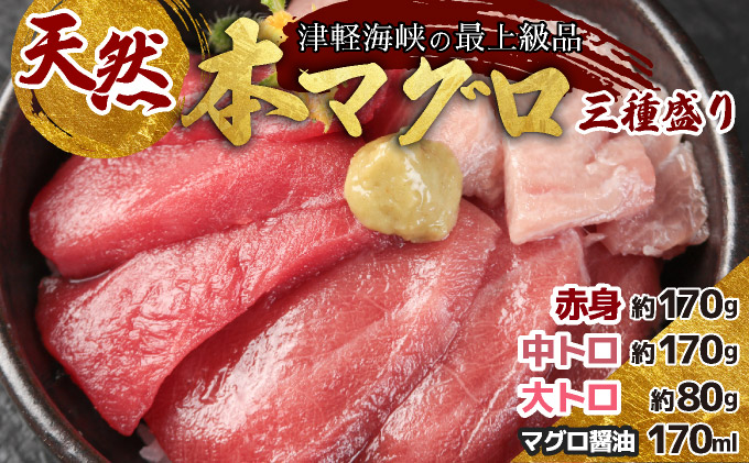 天然本マグロ三種盛りMATB002
