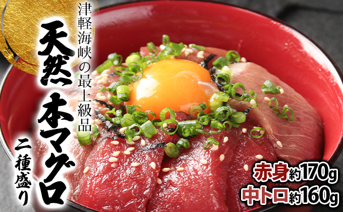 天然本マグロ中トロ＆赤身二種盛りMATB006