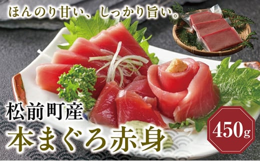 超低温冷凍 松前町産本まぐろ赤身　450ｇMATK025