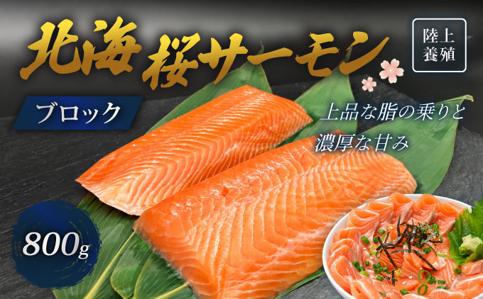 「陸上養殖」 北海桜サーモン ブロック 800g 北海道 松前町 ふるさと納税