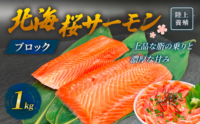 「陸上養殖」 北海桜サーモン ブロック 1kg 北海道 松前町 ふるさと納税