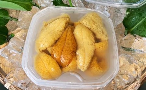 【先行予約】令和8年5月下旬より順次発送《数量限定》北海道福島町　キタムラサキウニ　塩水ウニパック　100×2パック FKF001