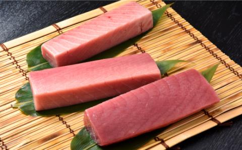 【先行予約】北海道福島町 水揚げ 本マグロ 「海峡まぐろ」 贅沢セット（大トロ・中トロ・赤身） FKO013