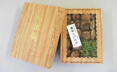 福島町特産・特選「横綱椎茸」500g FKG001