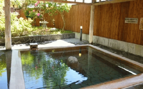 吉岡温泉ゆとらぎ館　入浴回数券（12枚つづり） FKB006