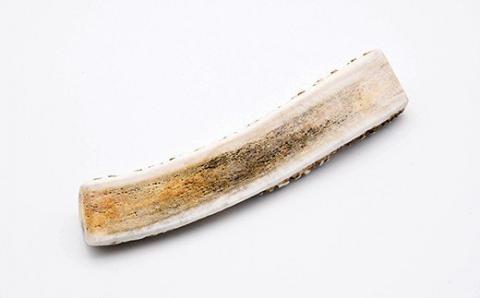 犬のおやつ　カムカムシカジカ　Mサイズ×2本 FKB028