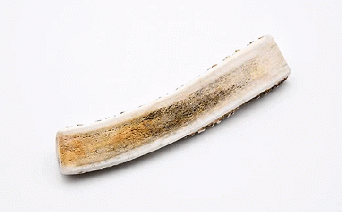 犬のおやつ　カムカムシカジカ　Lサイズ×２本 FKB029