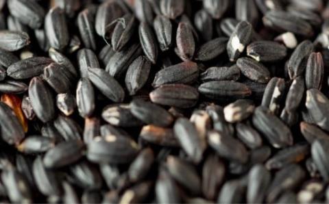 古代米・黒米「きたのむらさき」1kg　FKE001