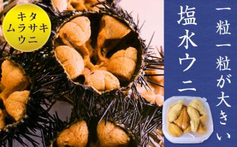 【先行予約】令和8年5月下旬より順次発送《数量限定》北海道福島町　キタムラサキウニ　塩水ウニパック　100×2パック FKF001