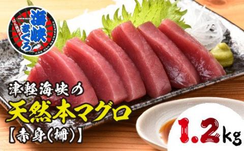 【先行予約】福島町水揚げ本マグロ「海峡まぐろ」赤身(1.2kg) FKO002