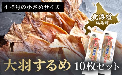 北海道福島町 大羽するめ 4～5号 10枚セット FKK013