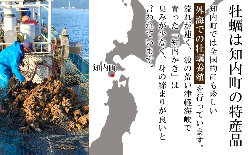 冷凍カキ約200g× 4袋セット 牡蠣 海鮮 魚介 かき 冷凍＜上磯郡漁業協同組合＞【DD140】