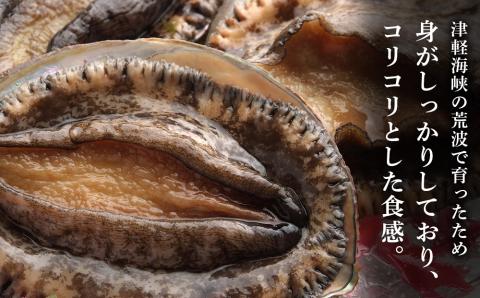 先行予約 11月より発送 あわび 北海道 知内産 天然活あわび 約１kg 上磯郡漁業協同組合