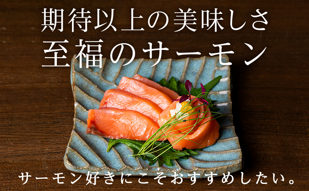 【定期便6回・奇数月】トラウトサーモン 1㎏☆（奇数月お届け）小分け 刺身 サーモン 鮭 海鮮 魚 さけ