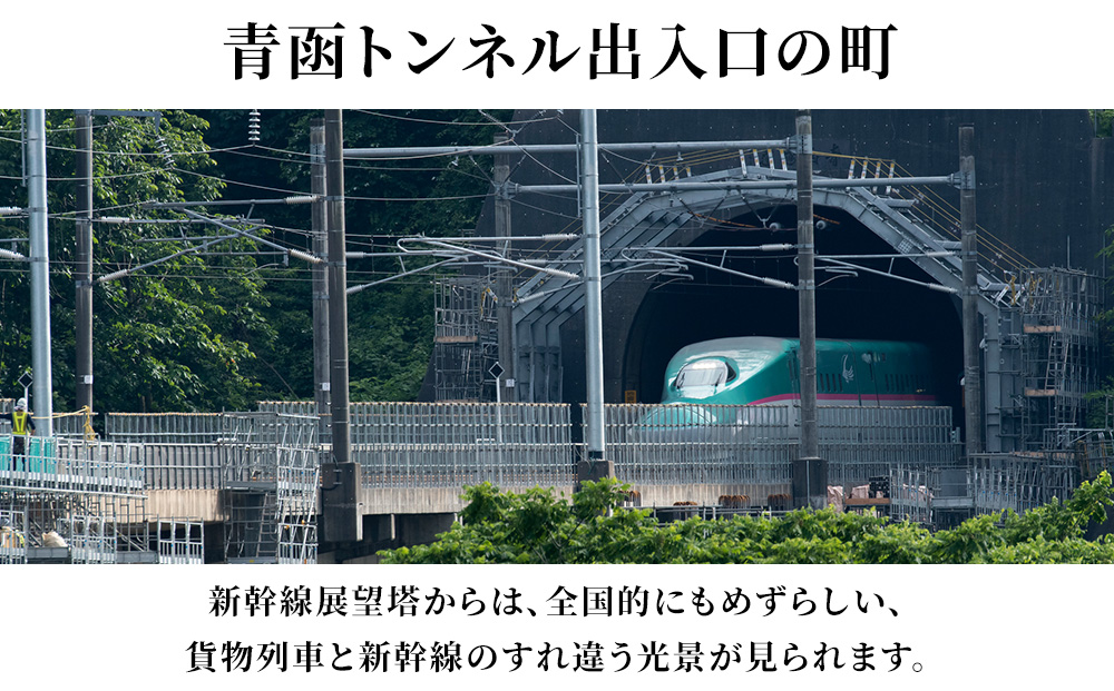 北海道 知内町☆応援寄付金☆【返礼品なし】100,000