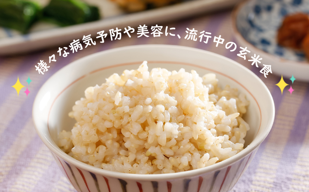【新米】 ★金賞農家★が作る「ふっくりんこ（玄米）」10kg《杉本農園》