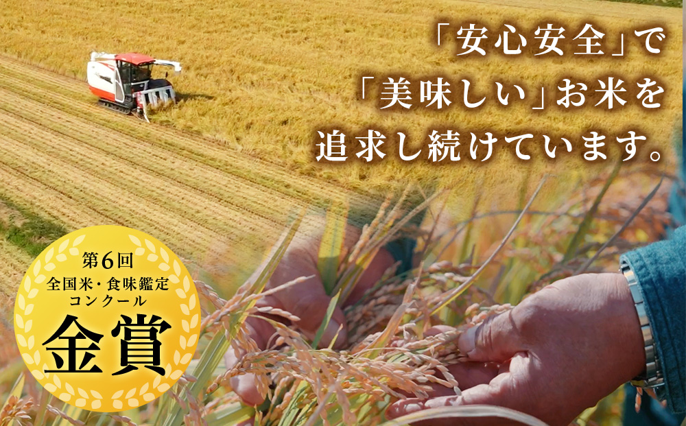 【令和8年産新米予約】【定期便2回】ゆめぴりか玄米10kg≪杉本農園≫