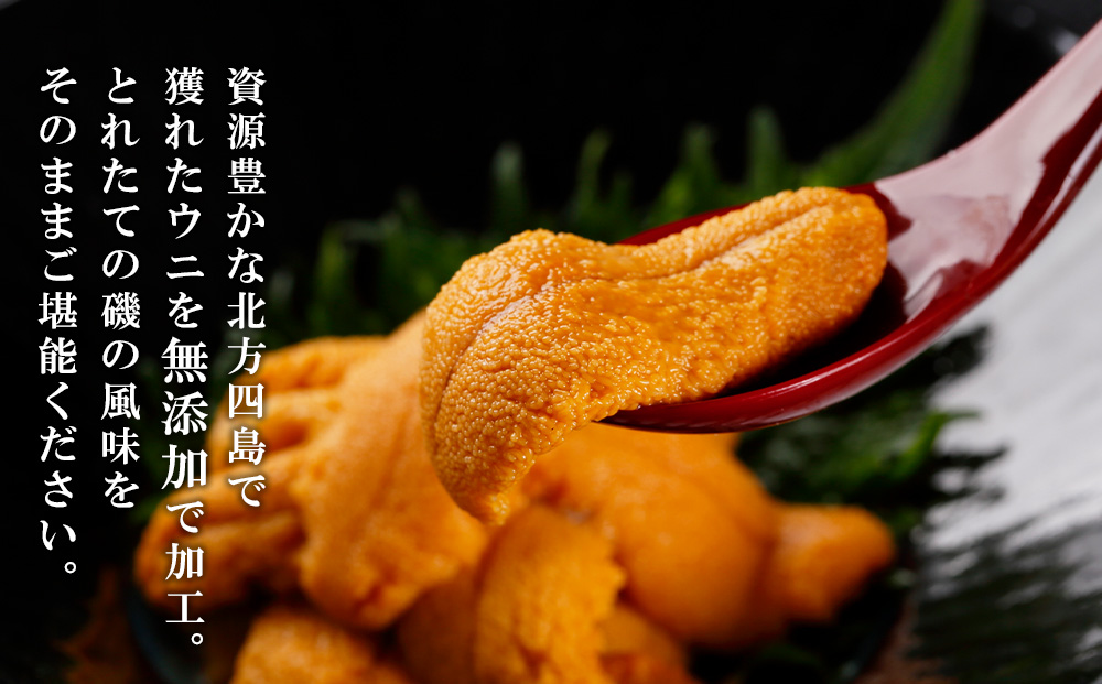 ☆知内町加工☆塩水エゾバフンウニ 贅沢１００g×５パックセット【マルタカ高橋商店】