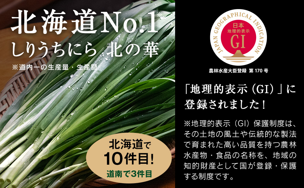 【2026年発送予約】 しりうちにら北の華 20束【JA新はこだて】