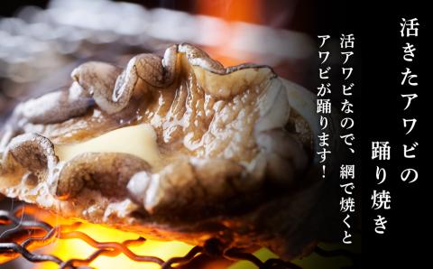 先行予約 11月より発送 あわび 北海道 知内産 天然活あわび 約１kg 上磯郡漁業協同組合