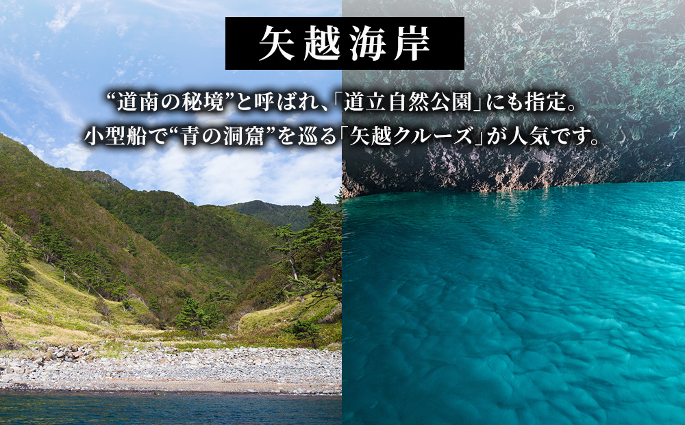 北海道 知内町☆応援寄付金☆【返礼品なし】5,000