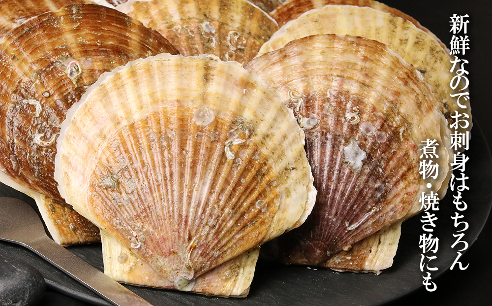 活ほたて約３kg（15～20枚前後）【上磯郡漁業協同組合】