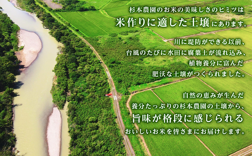 【令和7年産新米予約】【定期便6回】ふっくりんこ 玄米 2kg 《杉本農園》 お米 こめ 北海道米 北海道産米