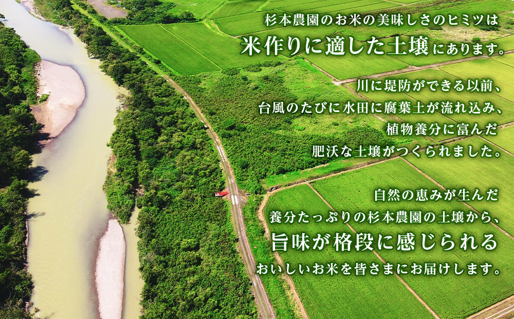 【令和7年産新米予約】【定期便6回】ふっくりんこ 4kg 2kg×2《杉本農園》 お米 こめ 北海道米 北海道産米