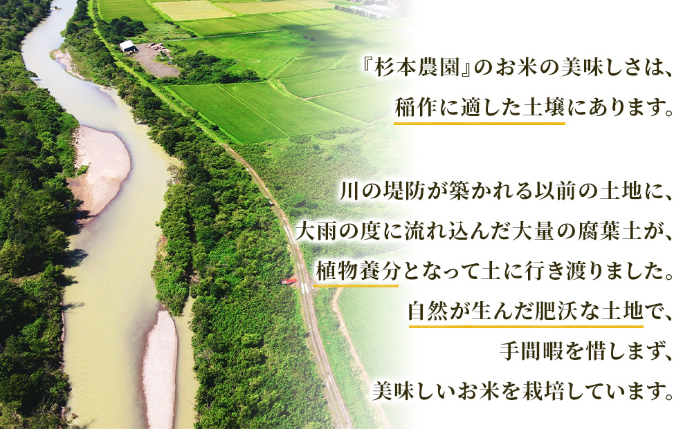 【令和8年産新米予約】【定期便3回】ななつぼし玄米5kg≪杉本農園≫