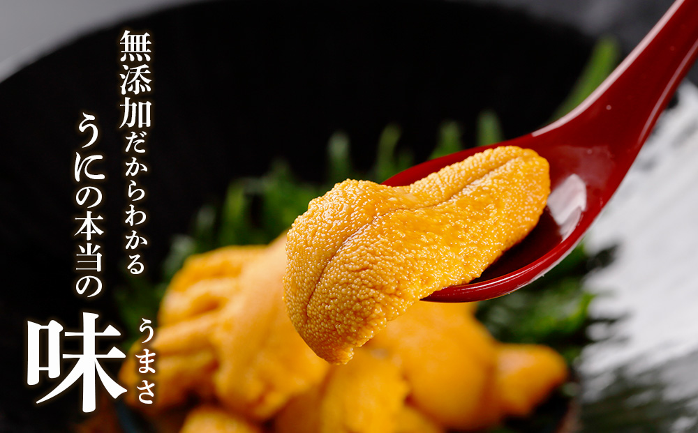 2026年発送予約 ☆北海道産☆塩水キタムラサキウニ 贅沢100g×5パックセット【マルタカ高橋商店】