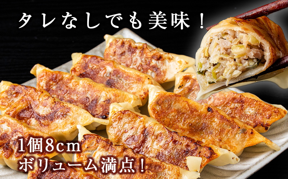 知内ニラ餃子（10個入り）2袋【知内観光協会】