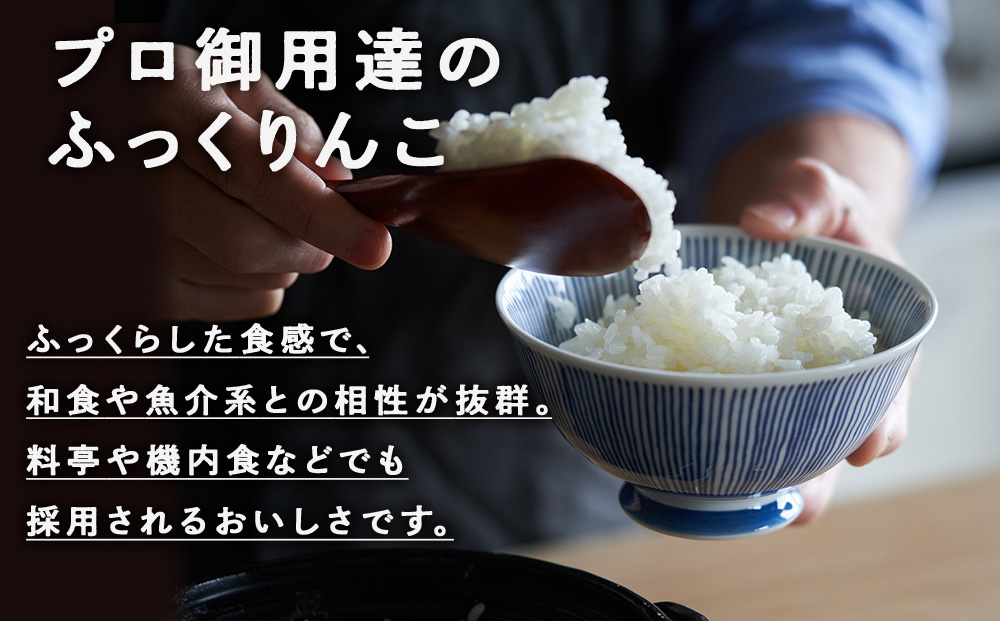 令和8年1月発送 令和7年産ふっくりんこ 5kg 【JA新はこだて】