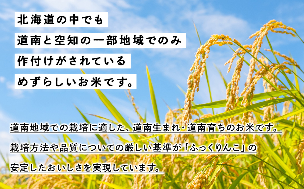 新米 【定期便3回】 ふっくりんこ 5kg 【JA新はこだて】 知内町 ふるさと納税 玄米 こめ 北海道産お米 北海道米 美味しいお米 北海道産米 ブランド米