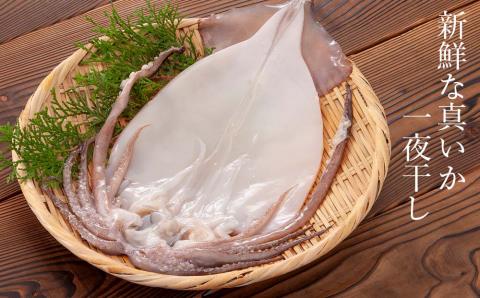 ☆毎月届く☆真いかの一夜干し定期便 全６回＜秋元水産＞【定期便・頒布会特集】