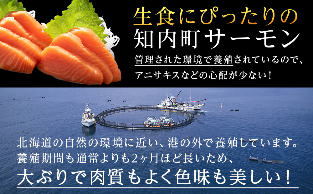 国産☆スモーク サーモンスライス 知内町産☆〈冷凍〉500g×2 ふるさと納税 鮭 冷凍サーモン 切り落とし 海鮮 人気 小分け 北海道 知内
