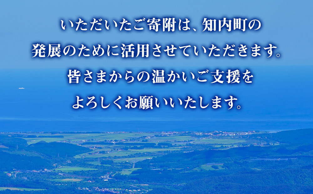 北海道 知内町☆応援寄付金☆【返礼品なし】100,000